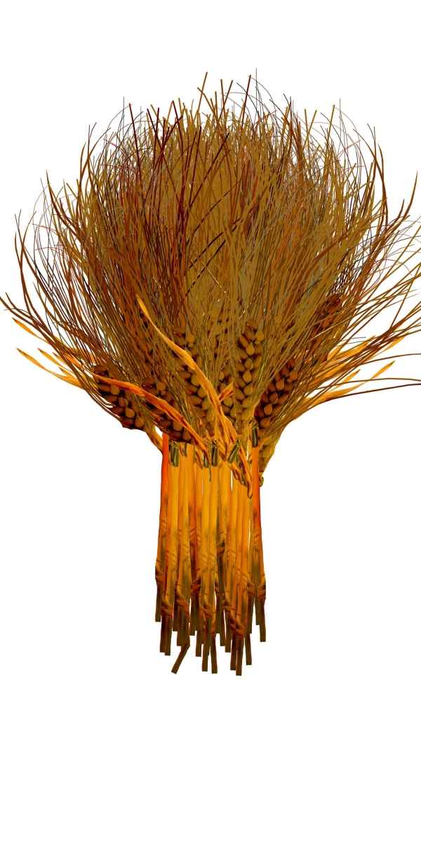 Creation of Lucky Wheat Bridal Bouquet: Step 7